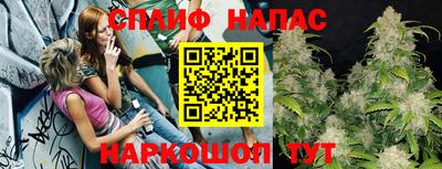 Альфа ПВП Нальчик