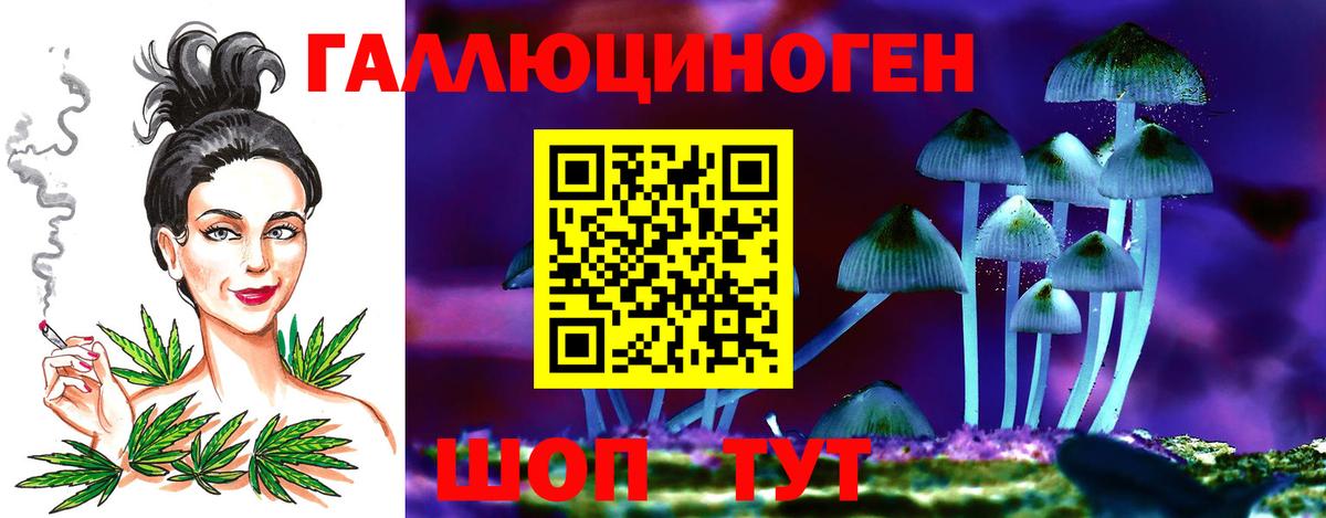 Псилоцибиновые грибы MAGIC MUSHROOMS Тихвин